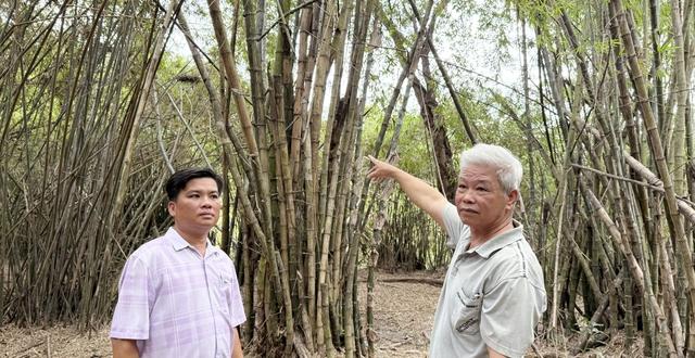 Bảo tồn vườn chim Vĩnh Phước: Hành trình 32 năm độc nhất của cựu chiến binh U.80- Ảnh 5.