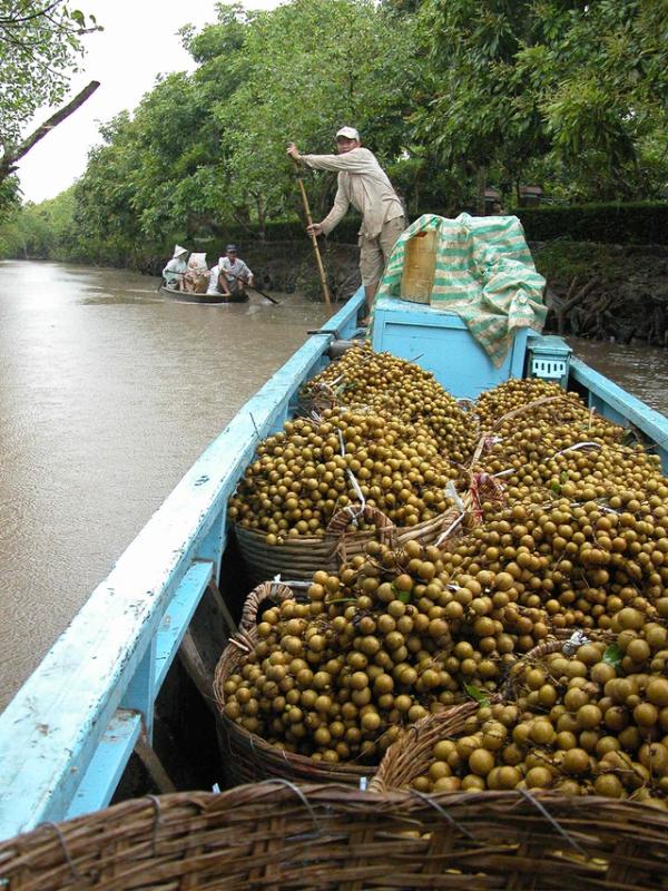Có một thời về miền Tây... đi sứ!- Ảnh 1.