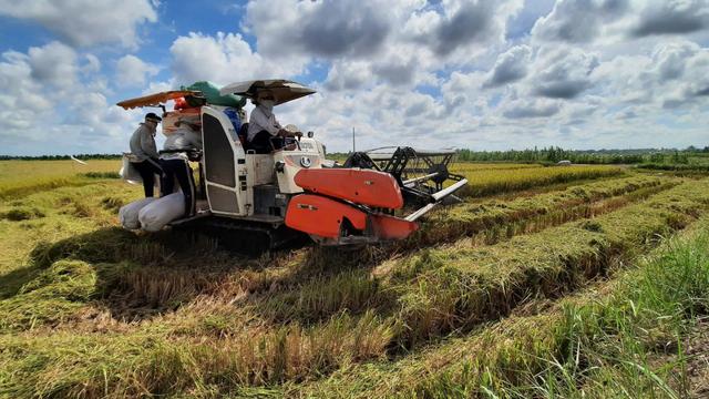Đề xuất nhiều cơ chế phát triển 3 loại mô hình nông nghiệp ở Hà Nội- Ảnh 1.