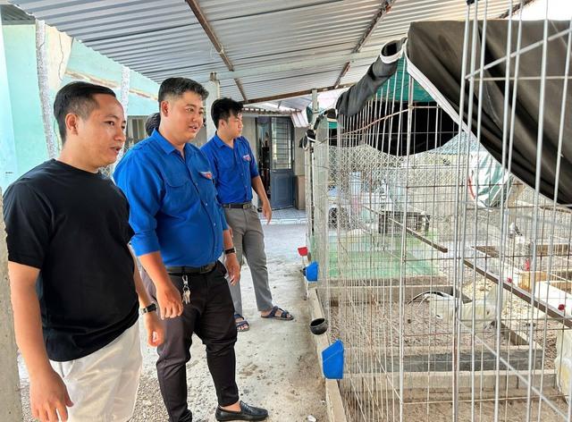 Chàng trai mát tay làm 'bà mụ' cho cua đinh, bán gần 500 con giống mỗi năm - Ảnh 3.