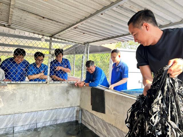 Chàng trai mát tay làm 'bà mụ' cho cua đinh, bán gần 500 con giống mỗi năm - Ảnh 4.