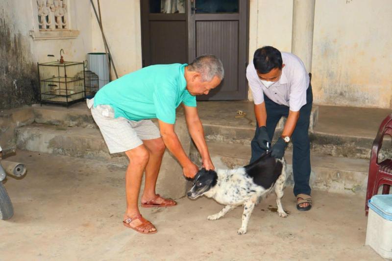 Liên tiếp các vụ chó thả rông tấn công người - Ảnh 3.