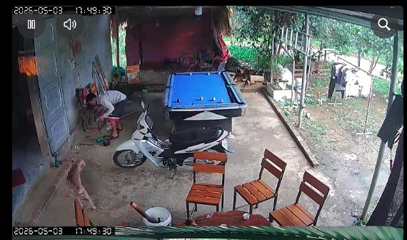 Chú chó mất tích 5 tháng bất ngờ trở về khiến người chủ ngỡ ngàng, mừng rỡ - Ảnh 1.