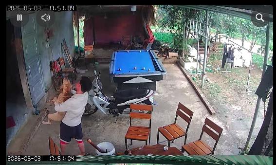 Chú chó mất tích 5 tháng bất ngờ trở về khiến người chủ ngỡ ngàng, mừng rỡ - Ảnh 2.