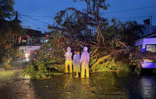 Giông lốc thổi tốc mái nhà dân, Đắk Lắk yêu cầu báo cáo thiệt hại- Ảnh 1.