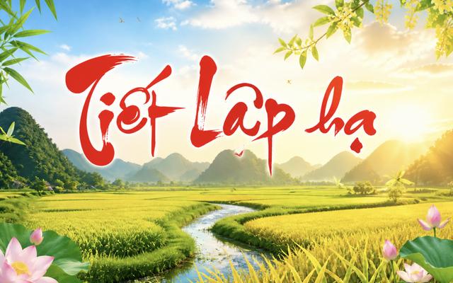 Lịch âm hôm nay 5.5: Tiết Lập hạ 2026 bắt đầu, người Việt cần lưu ý gì? - Ảnh 1.
