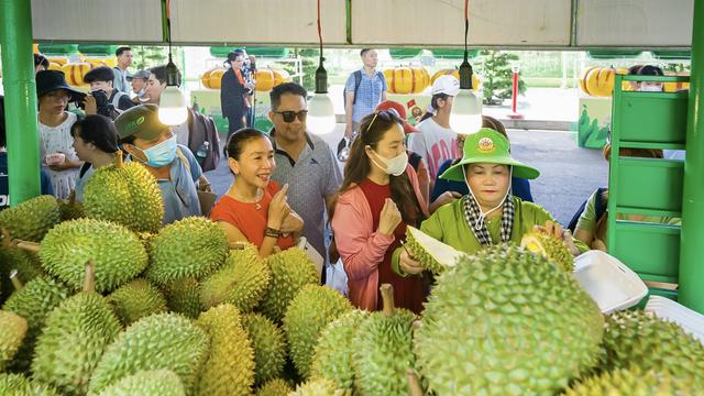 Đi lễ hội trái cây Nam bộ: Nằm võng, ăn trái cây, nghe vọng cổ giữa TP.HCM - Ảnh 1.