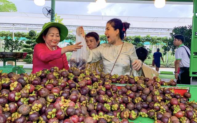 Đi lễ hội trái cây Nam bộ: Nằm võng, ăn trái cây, nghe vọng cổ giữa TP.HCM - Ảnh 3.