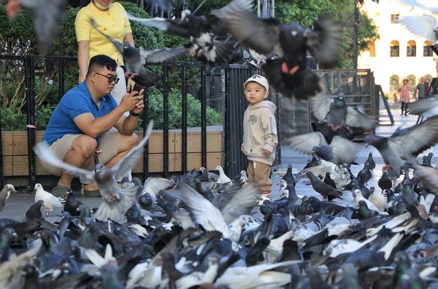 Lịch âm hôm nay ngày Đường Phong: Ngày 29.5 còn là ngày gì? - Ảnh 2.