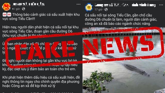 Thông tin cá sấu trên sông ở Vĩnh Long: Do nam thanh niên 22 tuổi dàn dựng- Ảnh 3.