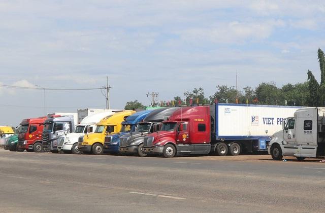 Xe container chở sầu riêng chờ kiểm định để xuất khẩu đậu kín bến xe Dầu Giây - Ảnh 2.