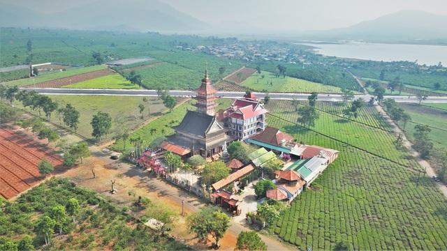 Thu không đủ trả tiền công, làm sao giữ vùng chè Biển Hồ? - Ảnh 1.