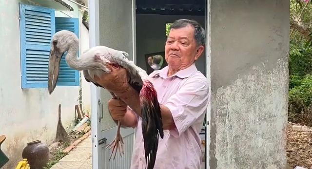 Lão nông 80 tuổi bất lực trước nạn săn bắn tại vườn chim vạc - Ảnh 1.