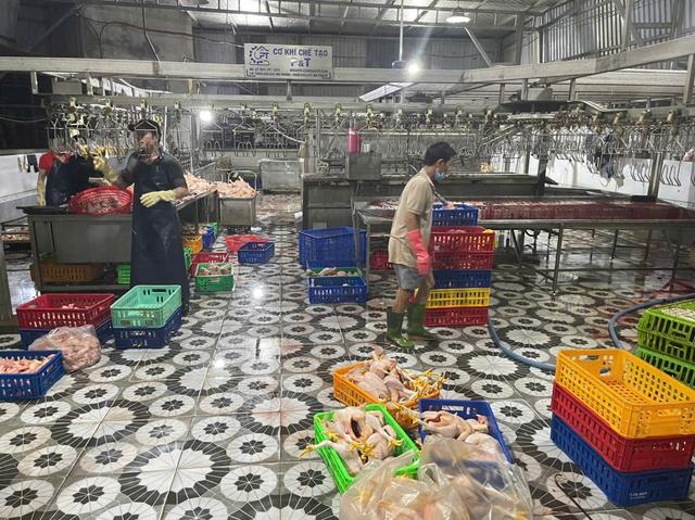 Bất ngờ bên trong cơ sở giết mổ gia cầm được đầu tư 'bài bản' ở TP.HCM - Ảnh 1.