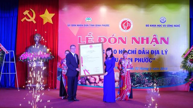 Đồng Nai: Nơi có hạt điều "ngon nhất thế giới" - Ảnh 4.