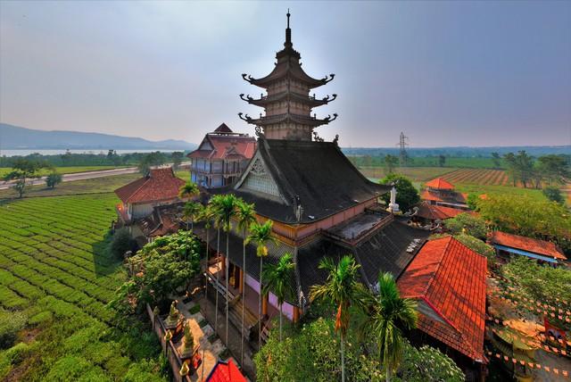 Thu không đủ trả tiền công, làm sao giữ vùng chè Biển Hồ? - Ảnh 5.
