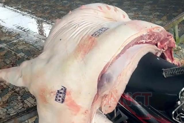Hải quan 'hỏa tốc' yêu cầu chặn biến chủng lở mồm long móng xâm nhập Việt Nam- Ảnh 1.