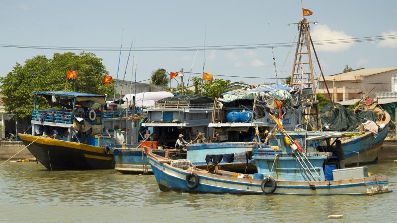 Ngư dân Vĩnh Long ra khơi mùa biển nông, thuyền về đầy ắp hải sản- Ảnh 4.