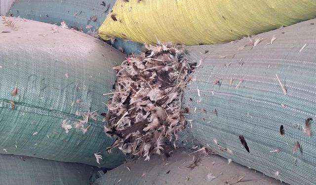 Sau phản ánh của Báo Thanh Niên, công ty gây 'ngộp thở' cam kết di dời- Ảnh 2.