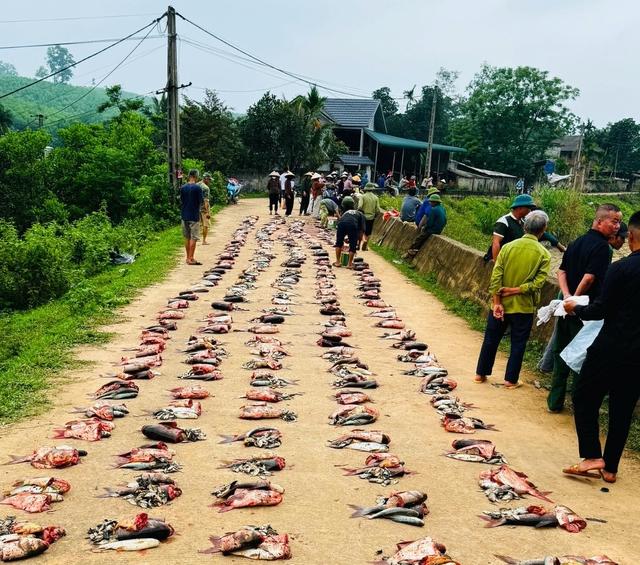 'Độc, lạ' cả làng góp tiền mua cá giống, ngày kéo lưới ai cũng có phần - Ảnh 3.