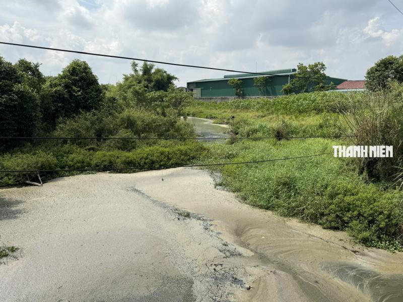 Kênh chìm Sơn Tịnh trở thành 'kênh chết'- Ảnh 9.