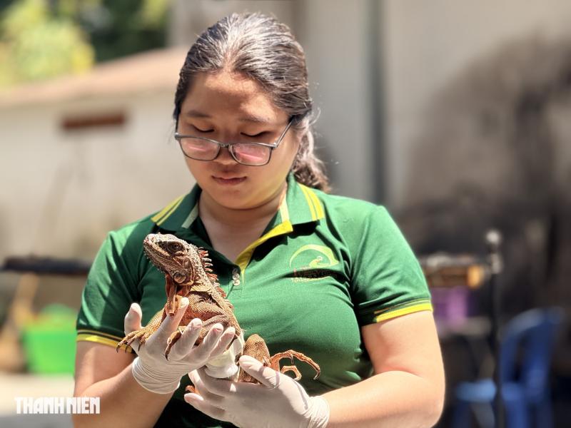 Con sư tử nằm xuống sau mũi phi tiêu và chuyện chưa kể ở Thảo Cầm Viên - Ảnh 7.