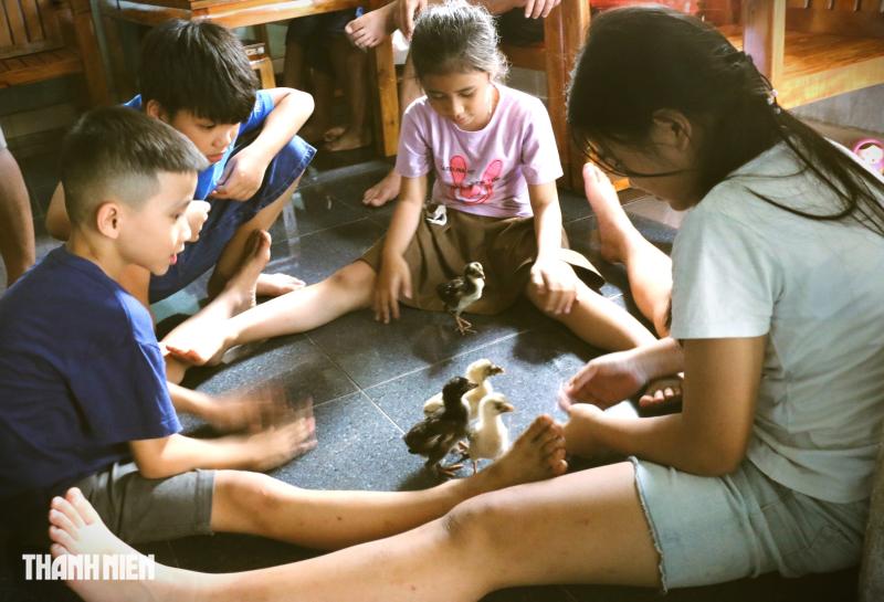 Mấy 'đội ăn chực' lại có mặt ở nhà ông bà - Ảnh 8.