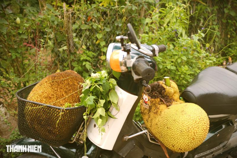 Mấy 'đội ăn chực' lại có mặt ở nhà ông bà - Ảnh 11.