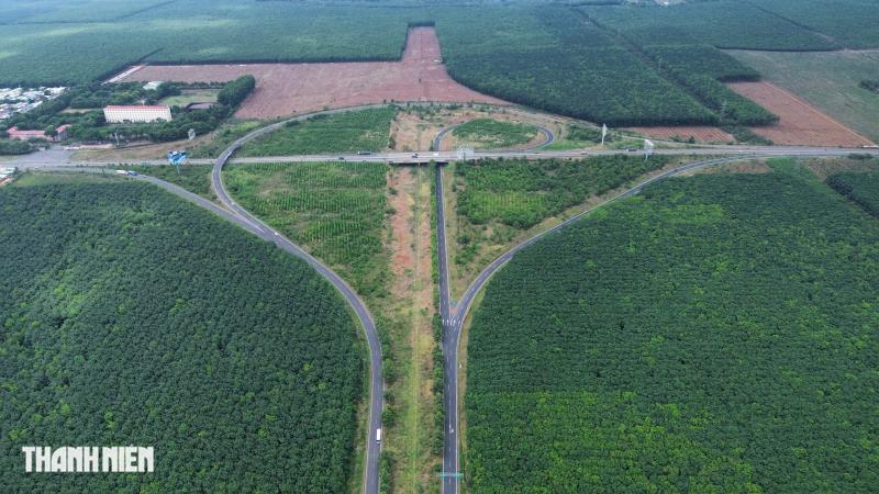 Thành phố Đồng Nai thu hồi 4.300 ha đất cao su cho các dự án trọng điểm - Ảnh 1.
