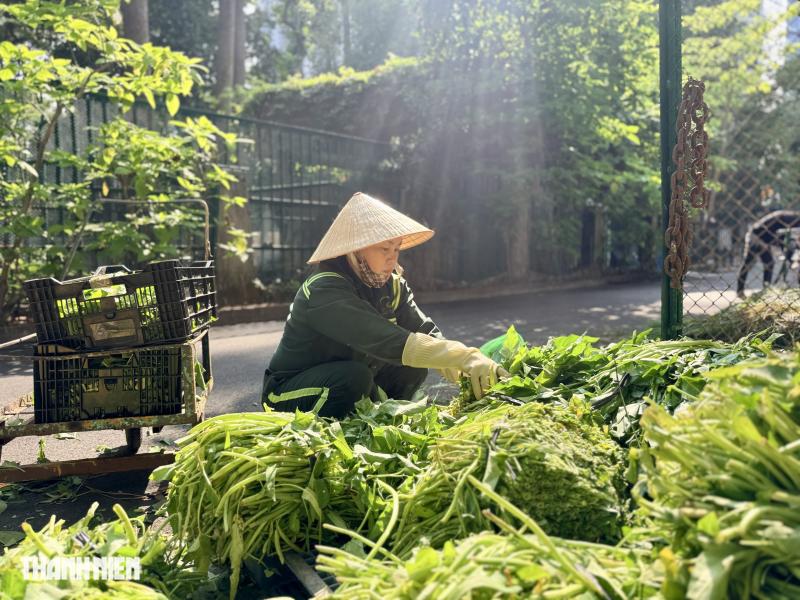 Ít ai biết: Một buổi sáng ở Thảo Cầm Viên bắt đầu từ… 3 tấn thức ăn - Ảnh 3.