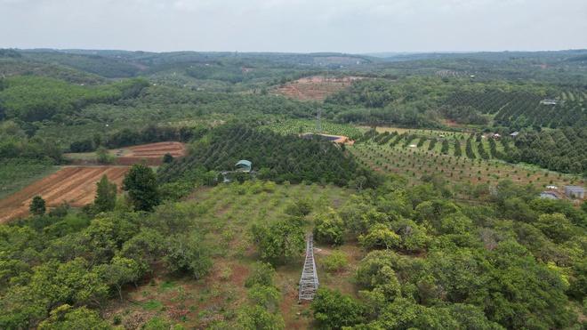 Đồng Nai: Trụ điện 110kV không có đai ốc ngã đổ gây bất an- Ảnh 12.