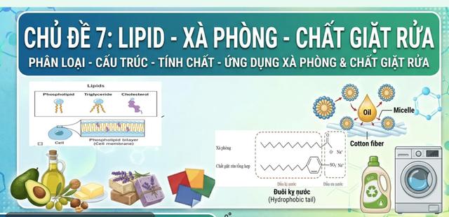 Bí quyết ôn thi tốt nghiệp THPT đạt điểm cao: Liên hệ thực tiễn chất tẩy rửa - Ảnh 1.