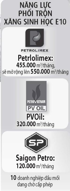 Việt Nam chính thức chuyển sang xăng sinh học- Ảnh 2.