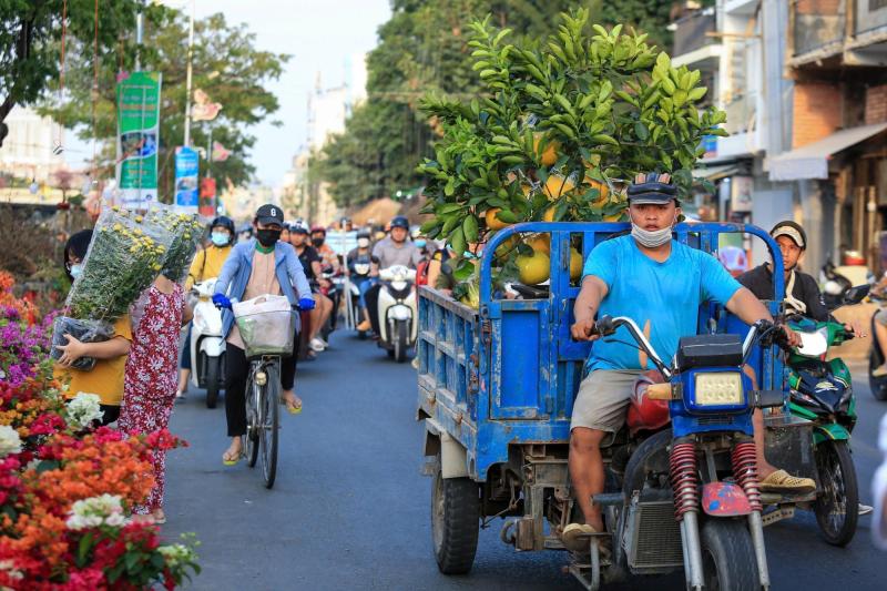 Rắc rối 'giấy khai sinh' cho hàng vận chuyển trên đường- Ảnh 1.