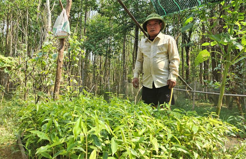 Dấn thân vào “cửa tử” - Ảnh 2.