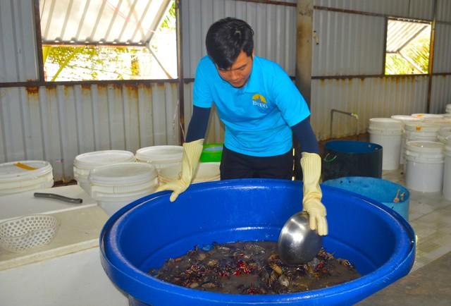 Cú lật kèo của ba khía lột: Từ 'hàng dạt' thành riêu OCOP 4 sao    - Ảnh 1.