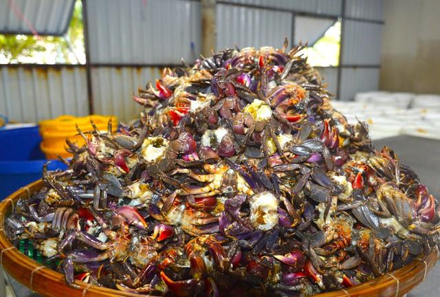 Cú lật kèo của ba khía lột: Từ 'hàng dạt' thành riêu OCOP 4 sao    - Ảnh 3.