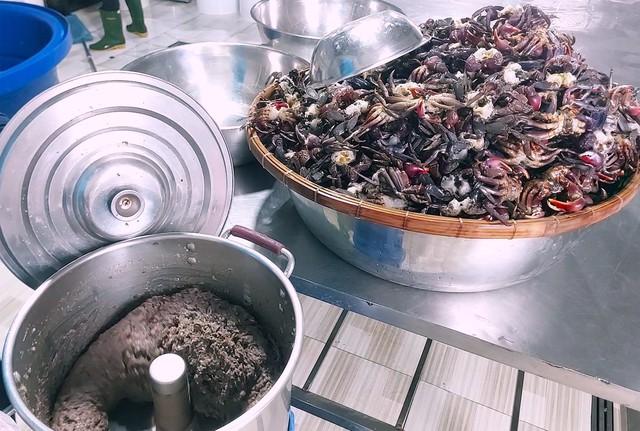 Cú lật kèo của ba khía lột: Từ 'hàng dạt' thành riêu OCOP 4 sao    - Ảnh 4.