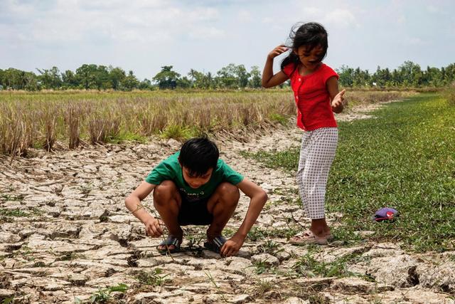 95% El Nino sắp xuất hiện, nhiều nơi nắng nóng gia tăng- Ảnh 1.