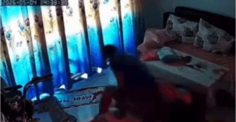 Các vụ bạo hành liên quan đến cha dượng, mẹ kế làm tổn thương lớn với trẻ - Ảnh 1.