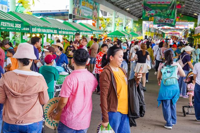 Đi lễ hội trái cây Nam bộ: Nằm võng, ăn trái cây, nghe vọng cổ giữa TP.HCM - Ảnh 2.