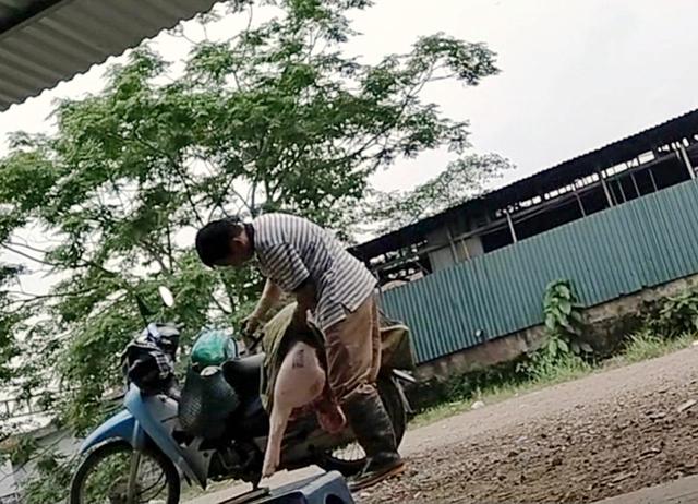 Thịt bẩn tung hoành qua lỗ hổng kiểm dịch - Ảnh 3.