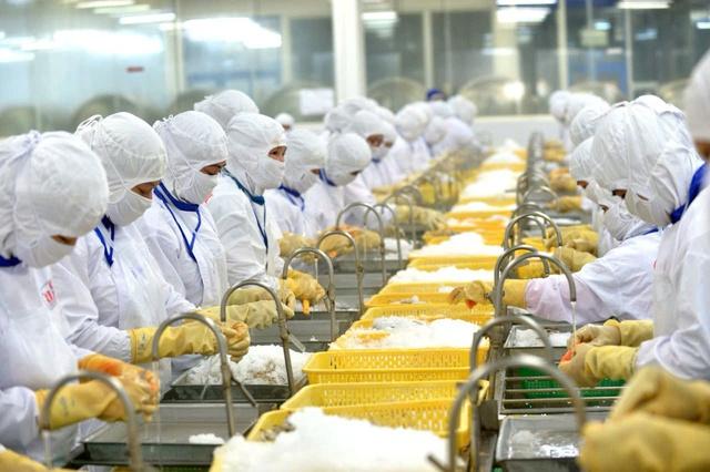 Xuất khẩu tôm vào Mỹ lại gặp khó- Ảnh 1.