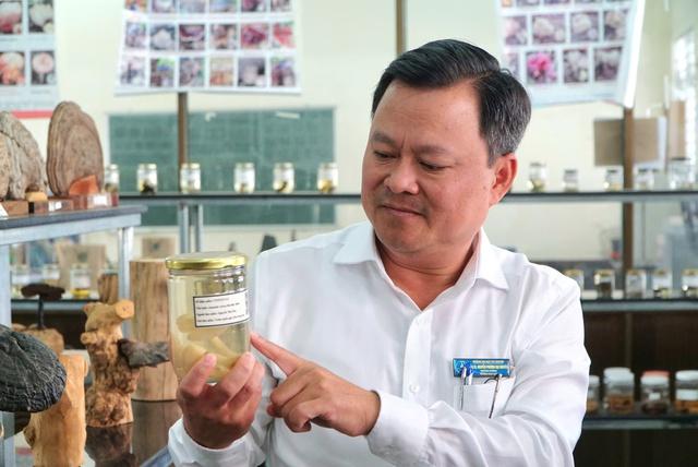 'Hồi sinh' những loài nấm quý - Ảnh 5.