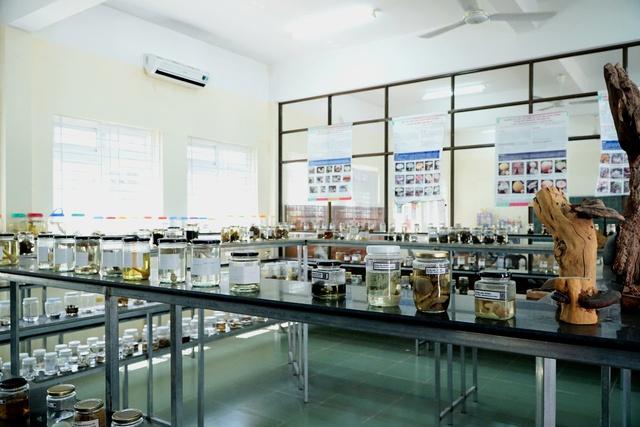 'Hồi sinh' những loài nấm quý - Ảnh 4.