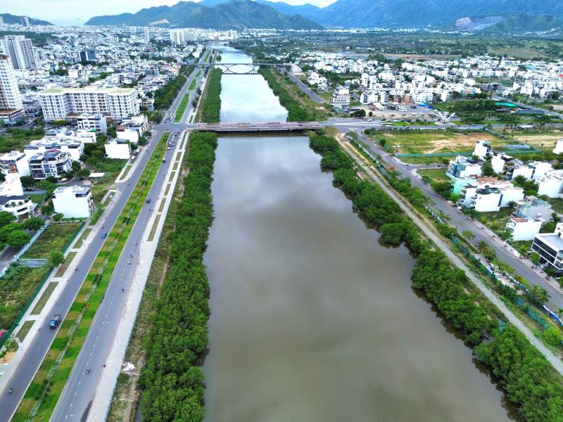 Khánh Hòa quyết chặt bỏ hàng cây khiến dự án kè sông 590 tỉ chưa nghiệm thu - Ảnh 1.