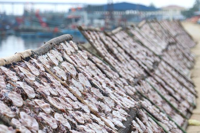 Gia Lai chỉ đạo xử lý vụ chế biến mực xà 54 hộ làm khổ 7.000 dân- Ảnh 12.
