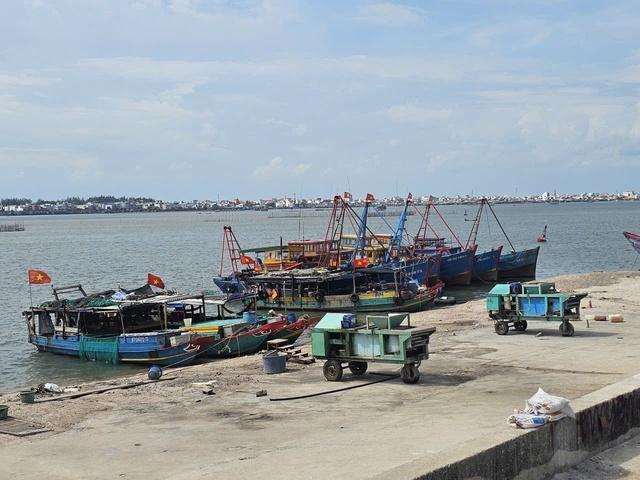 TP.HCM: Dùng cả ngàn khối vỏ sò, ốc san lấp trái phép sông Cửa Lấp   - Ảnh 7.