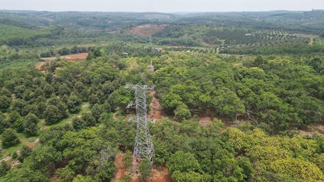 Đồng Nai: Trụ điện 110kV không có đai ốc ngã đổ gây bất an- Ảnh 13.