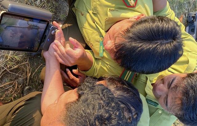 Xác định đàn chim xuất hiện ở Quảng Ngãi là cò nhạn, không phải sếu cổ đen - Ảnh 3.
